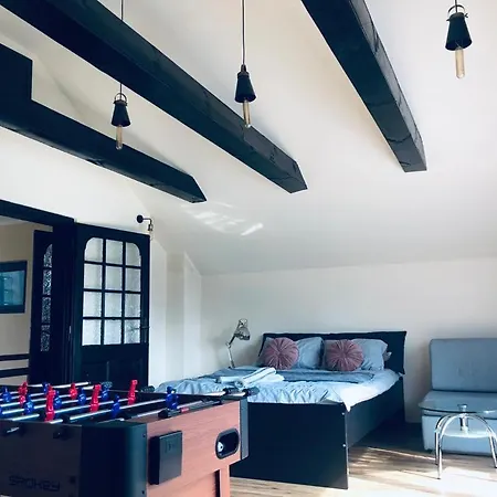Chalet Beskidzki Azyl Miedzybrodzie Zywieckie