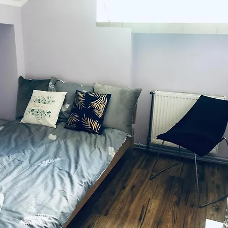 Chalet Beskidzki Azyl Miedzybrodzie Zywieckie