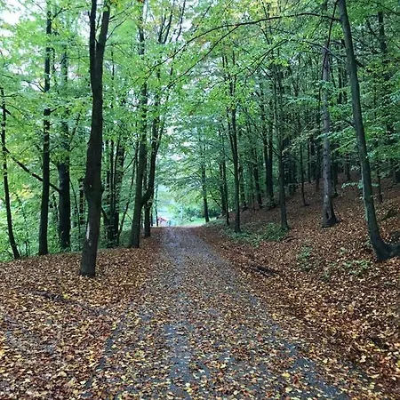 Beskidzki Azyl Chalet Miedzybrodzie Zywieckie